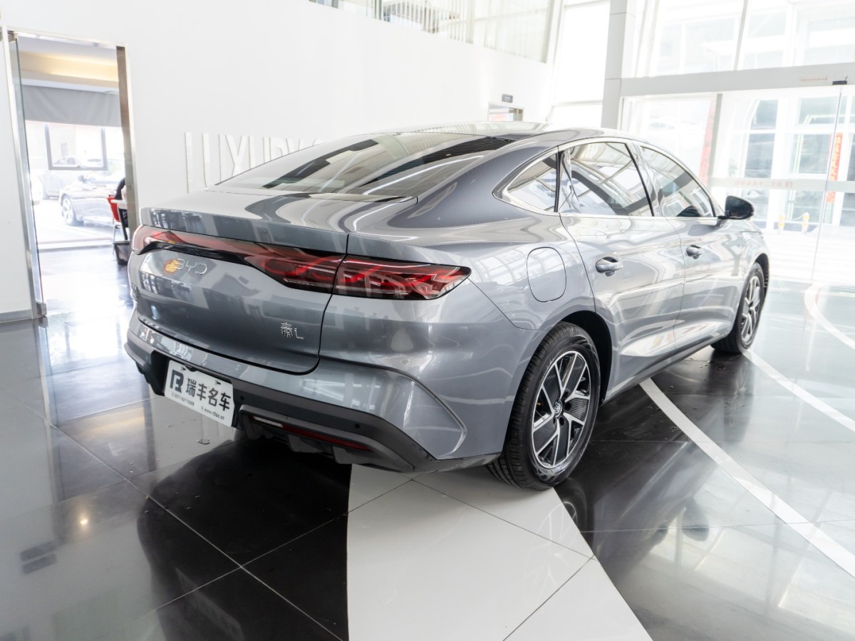 BYD M9 2023 car image #15