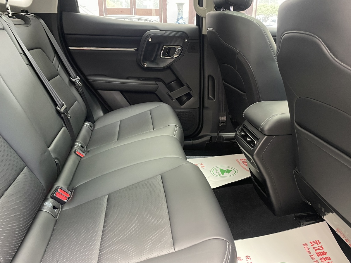 Haval X Dog 2 New Energy 2023 car image #15