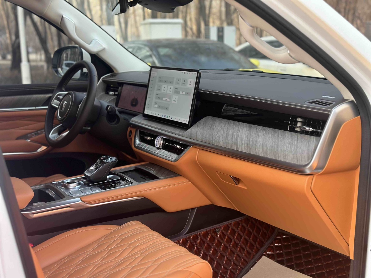 Tank 500 New Energy 2024 car image #15