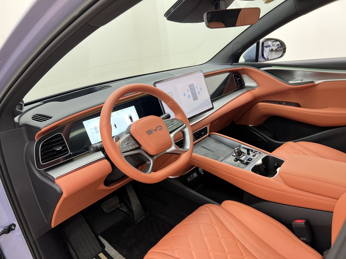 BYD Sea Lion 07 EV 2025 car image #15