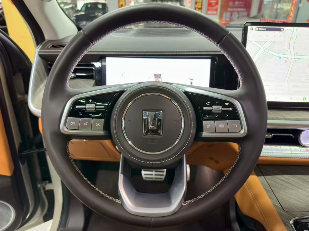 Tank 500 New Energy 2024 car image #15