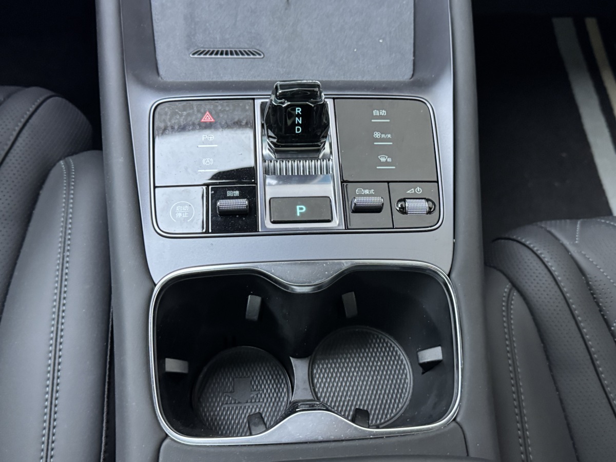 BYD Sea Lion 07 EV 2025 car image #15