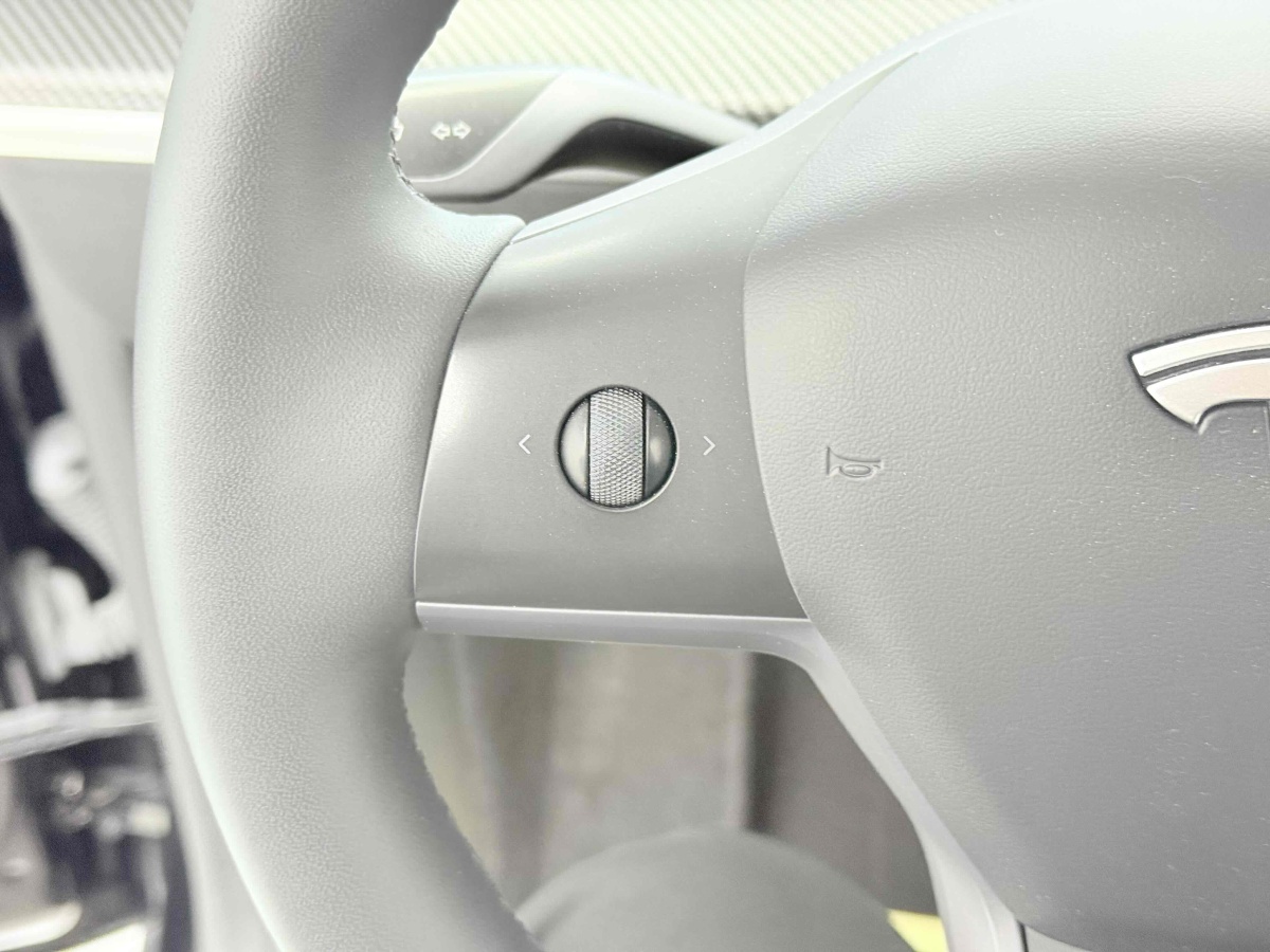 Tesla Model Y 2023 car image #15