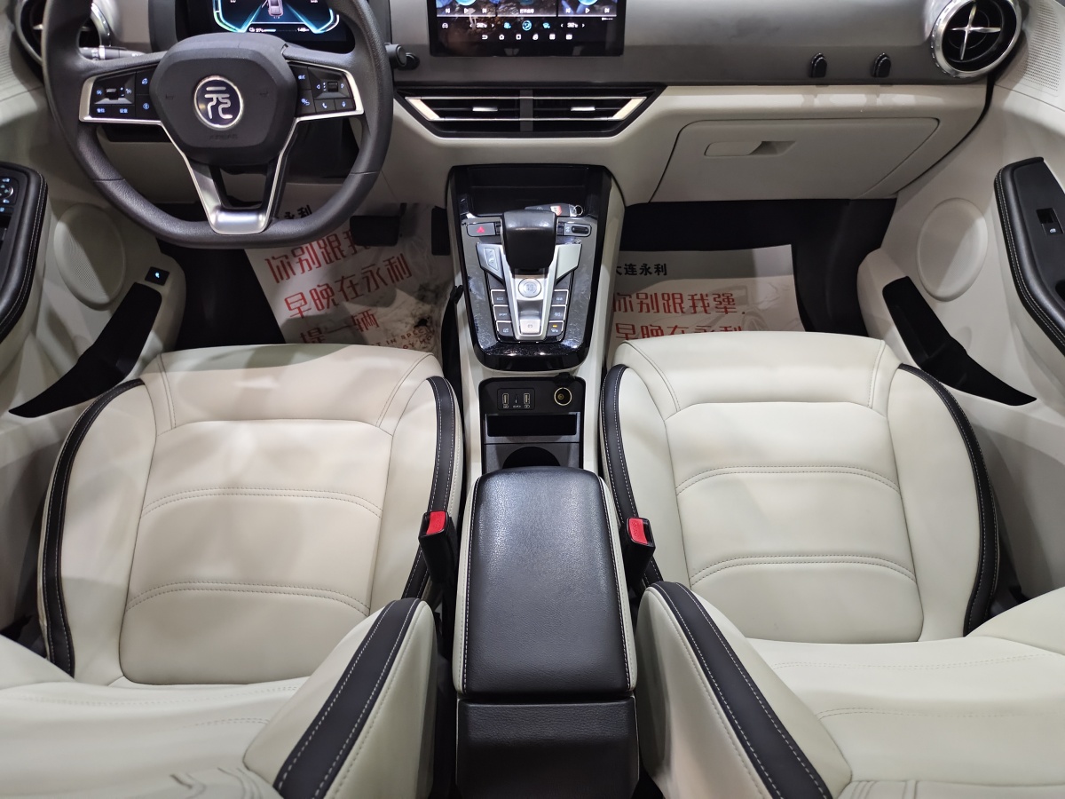 BYD Yuan Pro 2022 immagine di auto #15