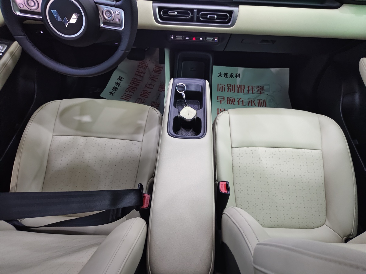 五菱汽车 五菱缤果PLUS 2024 汽车图片 #15