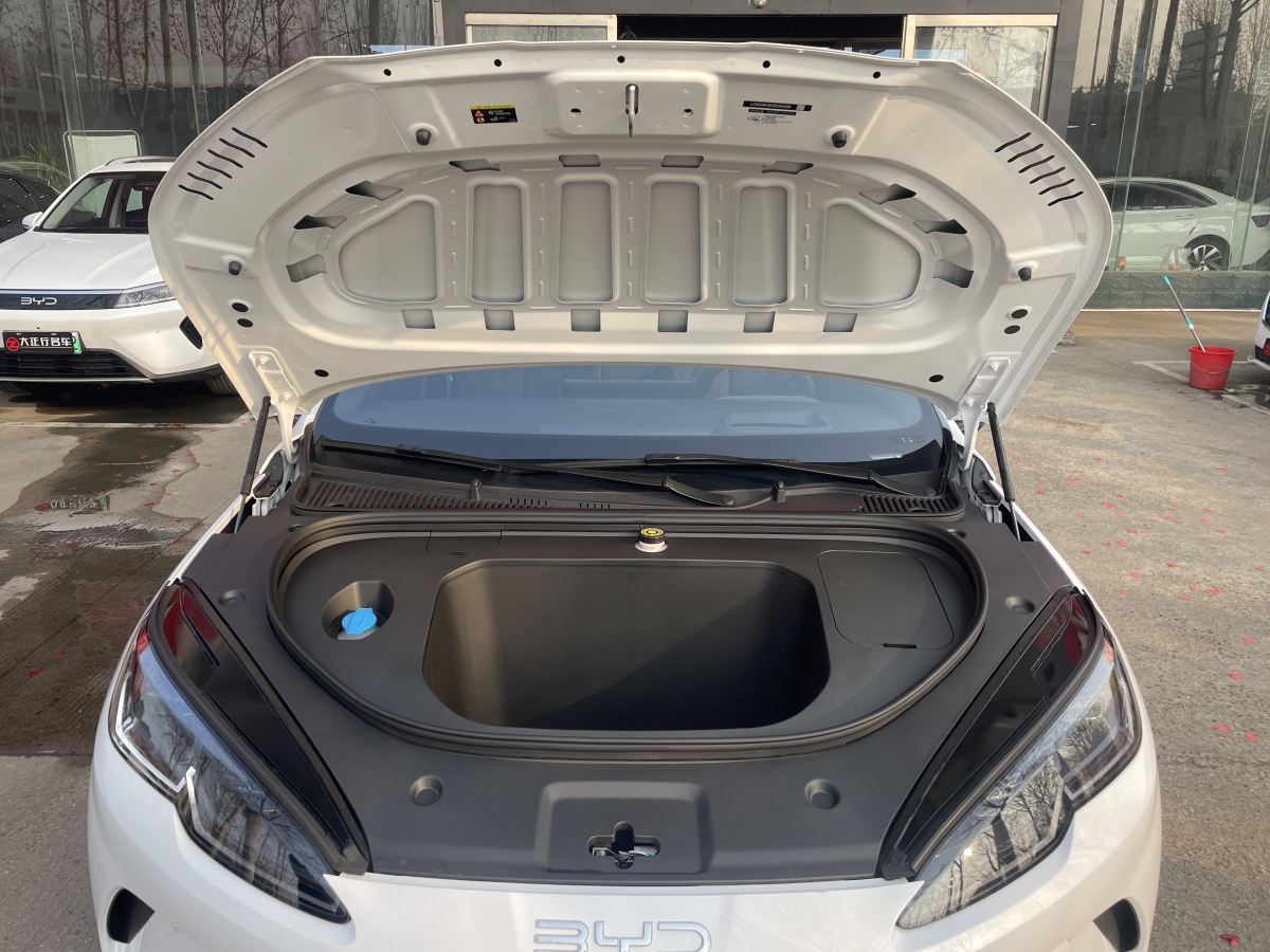 BYD 2025 #15 BYD 2025 immagine di auto #15