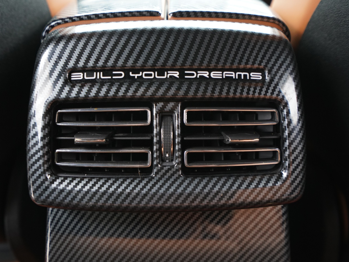 BYD Tang New Energy 2023 car image #15