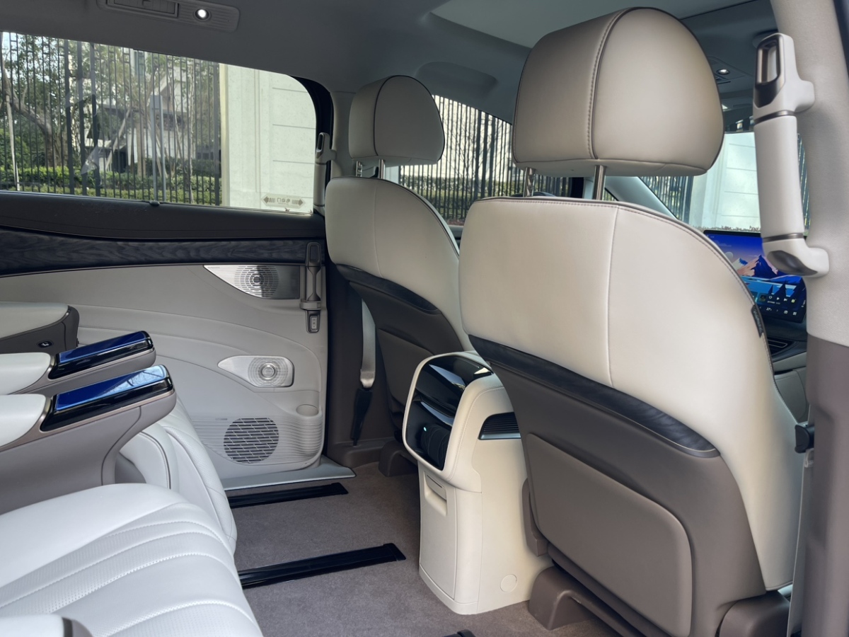 Denza D9 2023 #15 Denza D9 2023 car image #15