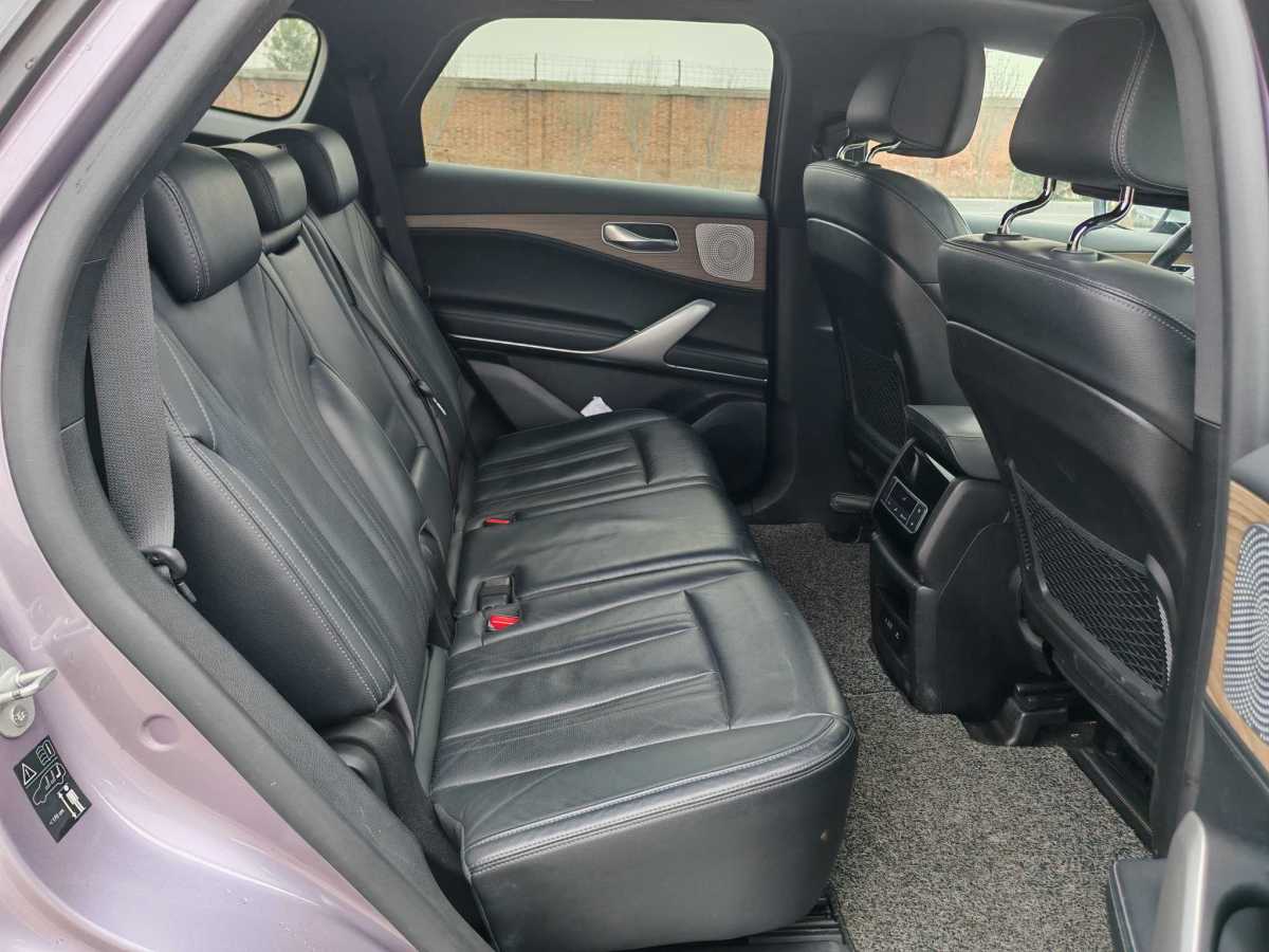 Denza X 2020 imagem de carro #15