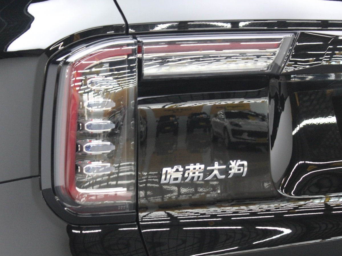 Haval X Dog / Dargo 2022 #15 Haval X Dog / Dargo 2022 car image #15