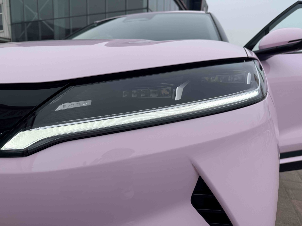 BYD YuanUP 2025 #15 BYD YuanUP 2025 car image #15