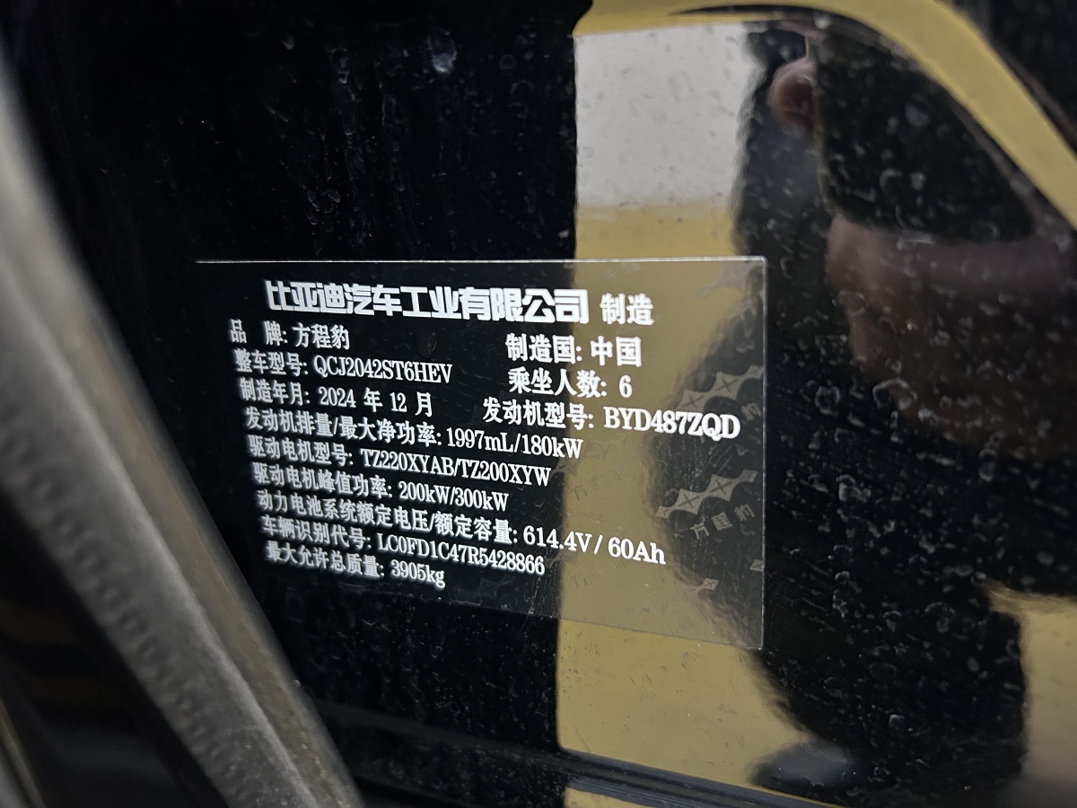 FangChengBao Leopard 8 2024 immagine di auto #15