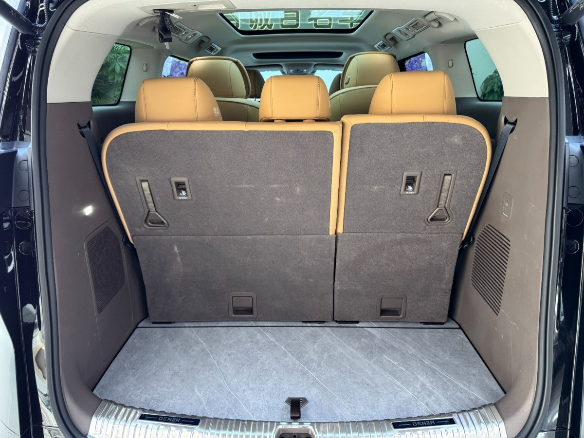 Denza D9 2023 image de voiture #15