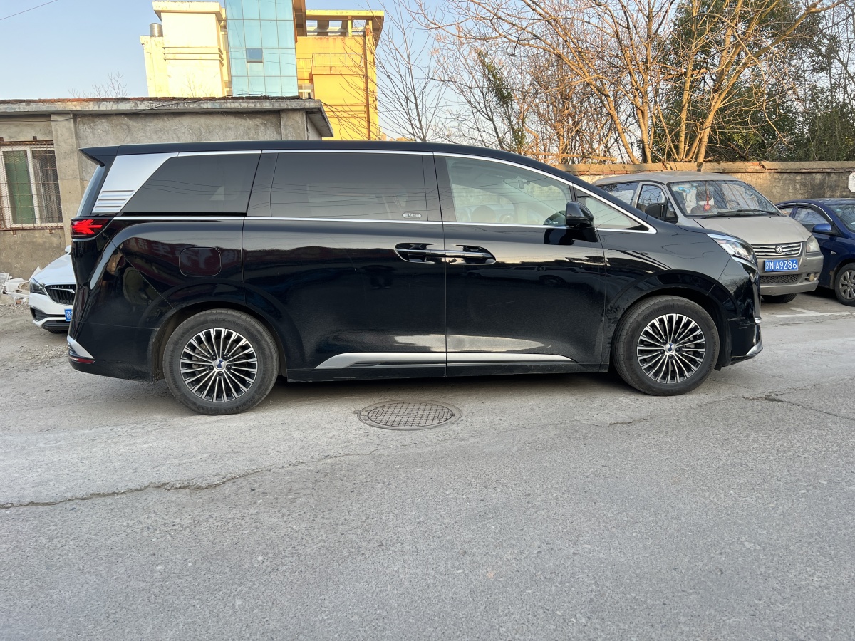 Denza D9 2023 image de voiture #15