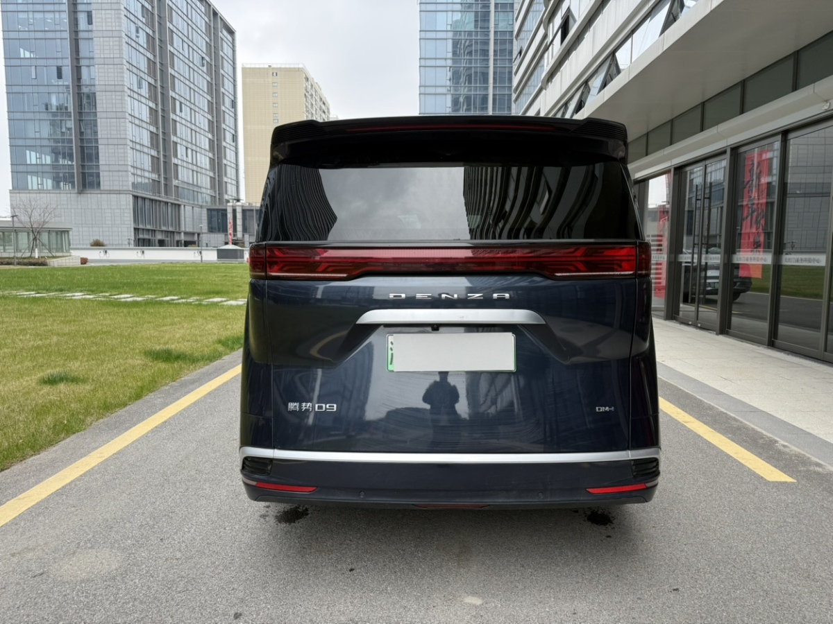 Denza D9 2023 image de voiture #15
