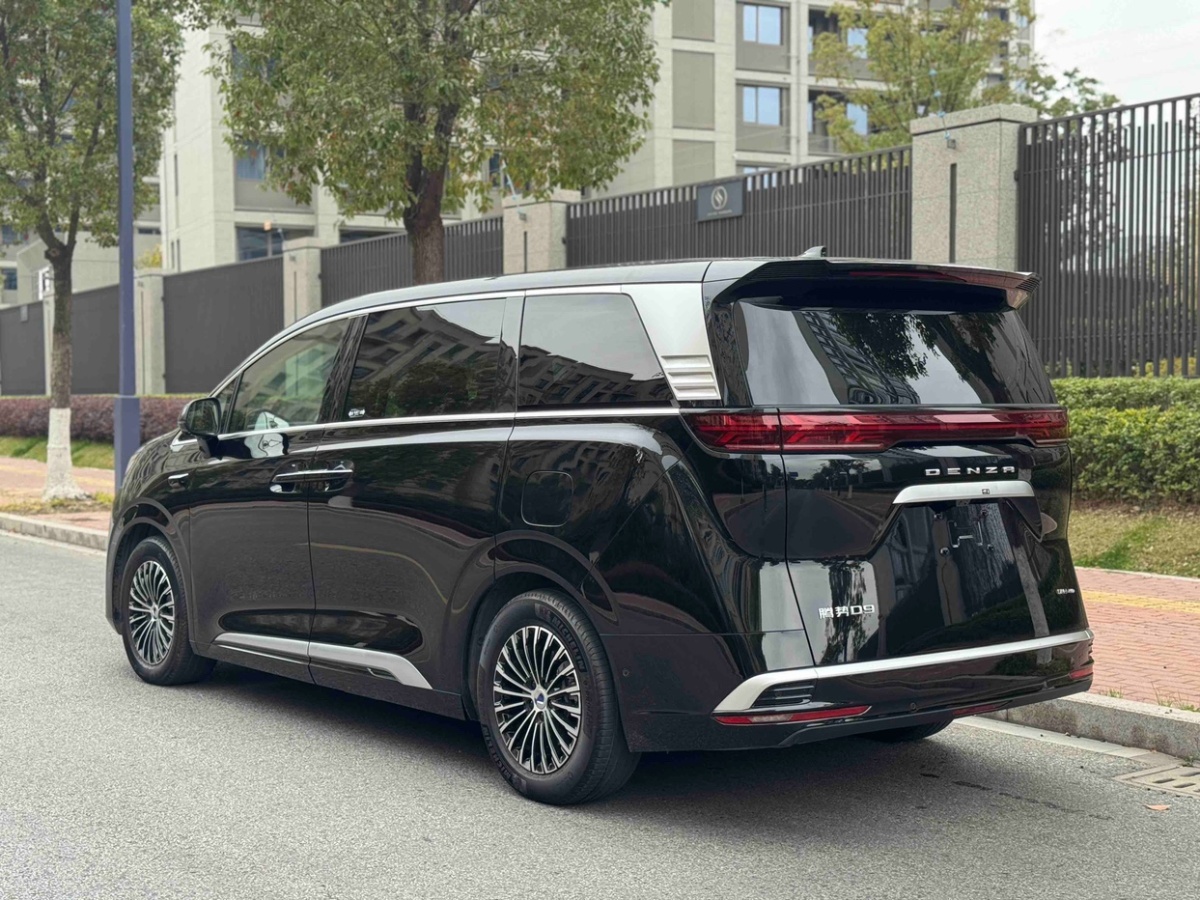Denza D9 2024 imagen de coche #15