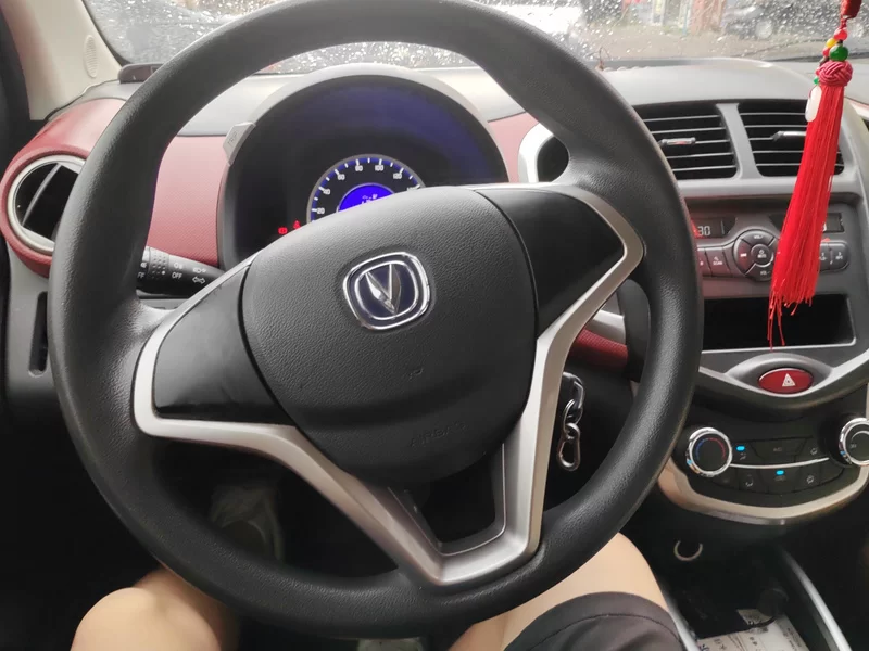 Changan BenBen EV 2017 изображение автомобиля #15