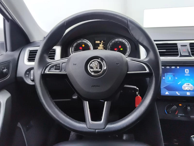 Skoda Rapid 2019 car image #15