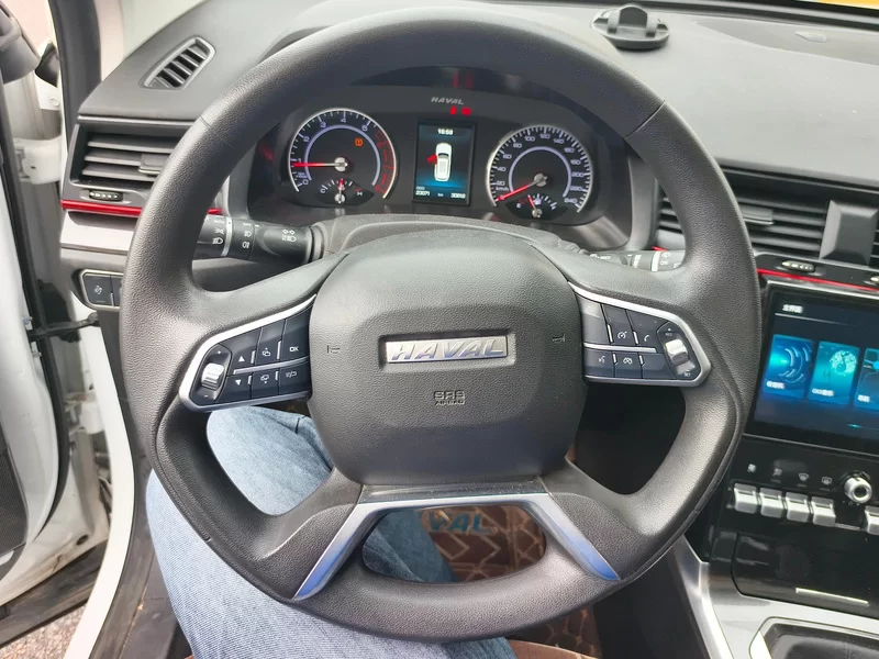 Haval H4 2020 car image #15