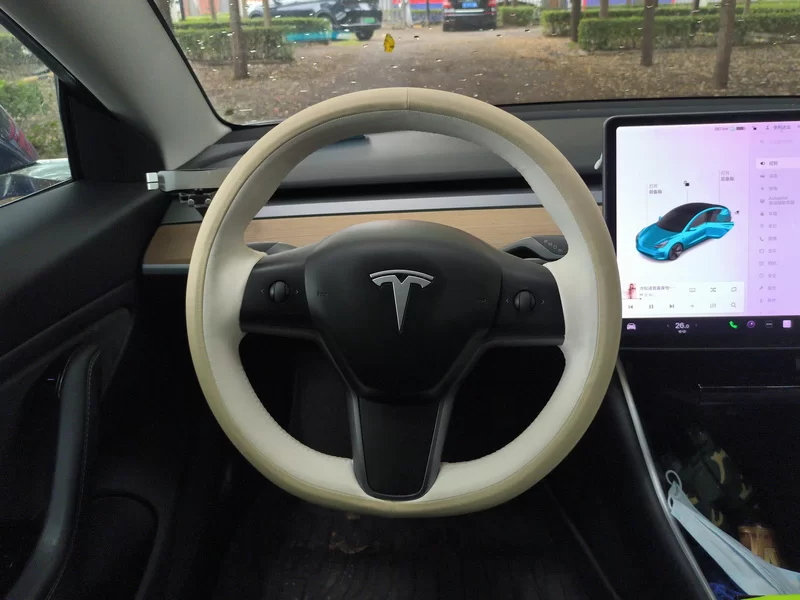 特斯拉 Model 3(进口) 2019 汽车图片 #15