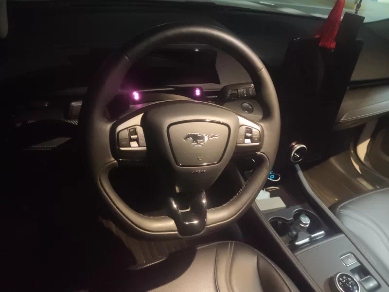 Ford Mustang Mach-E 2022 #15 Ford Mustang Mach-E 2022 car image #15