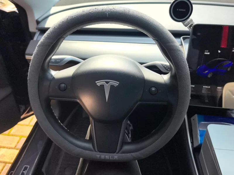 特斯拉 Model 3(进口) 2019 汽车图片 #15