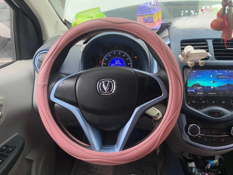 Changan BenBen E-Star 2022 image de voiture #15