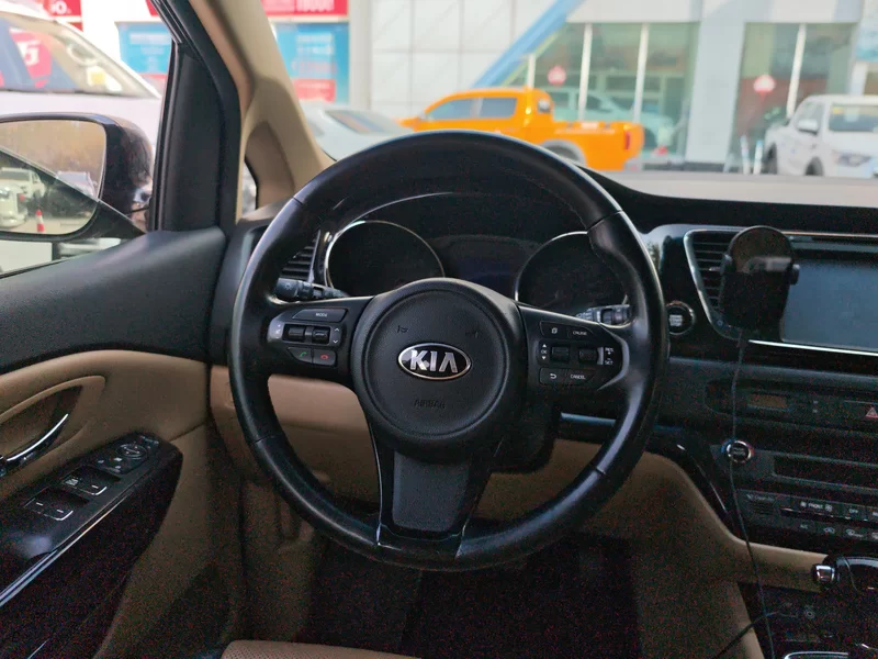 Kia Carnival (Imported) 2016 immagine di auto #15