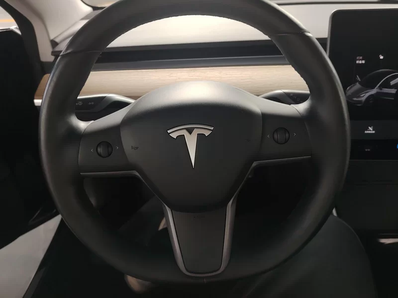 特斯拉 Model 3(进口) 2019 汽车图片 #15
