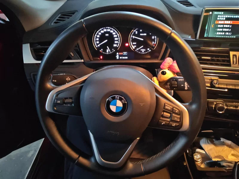 BMW X2 2019 #15 BMW X2 2019 car image #15