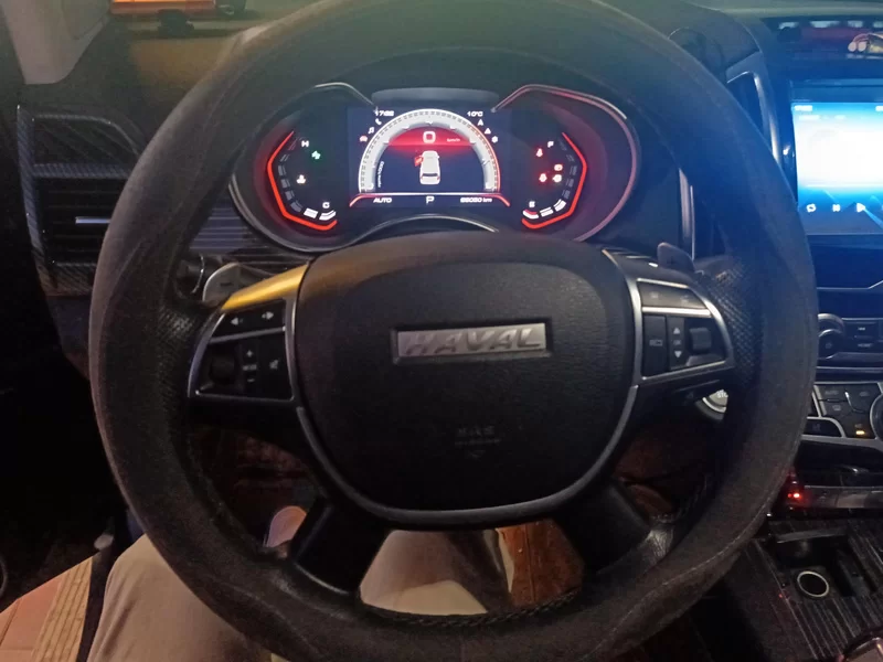 Haval H9 2020 #15 Haval H9 2020 car image #15