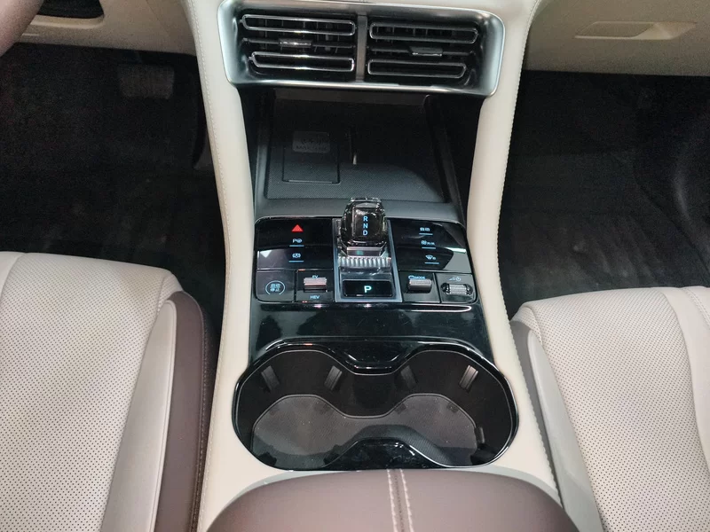 BYD Song Plus New Energy 2025 immagine di auto #15