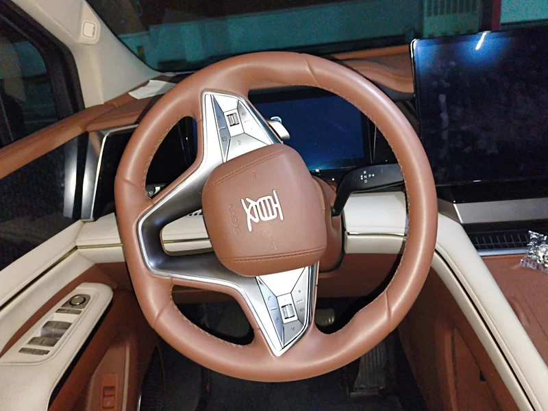 BYD Xia 2024 صورة سيارة #15