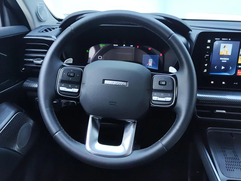 Haval Dargo 2023 car image #15