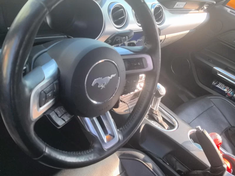 Ford Mustang 2019 car image #15