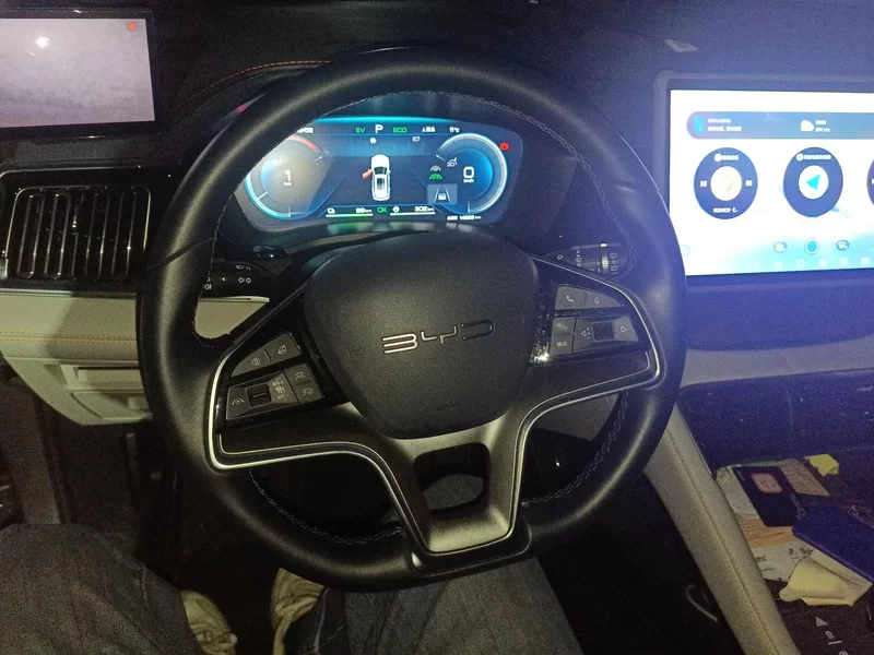 BYD Song Plus New Energy 2024 car image #15