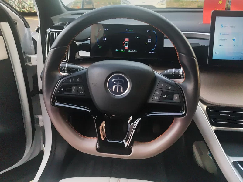 BYD Song Pro New Energy 2024 car image #15