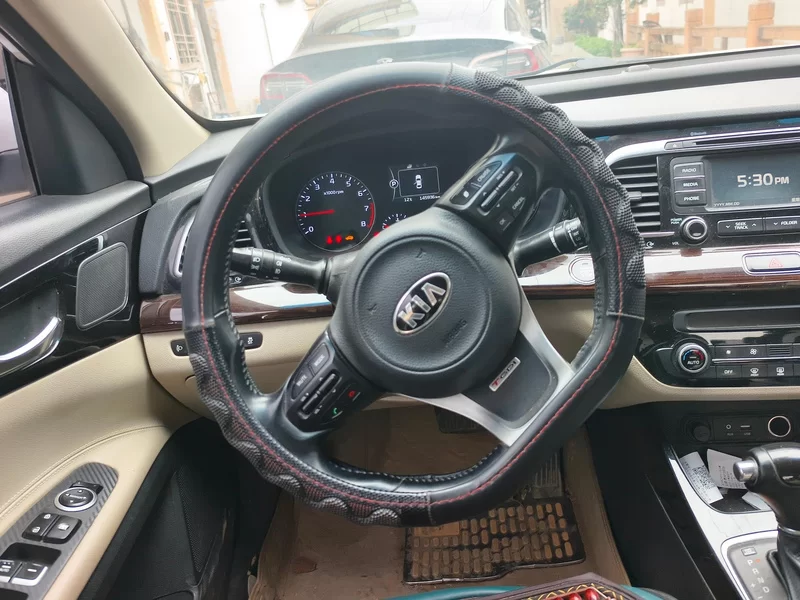 Kia 2014 car image #15