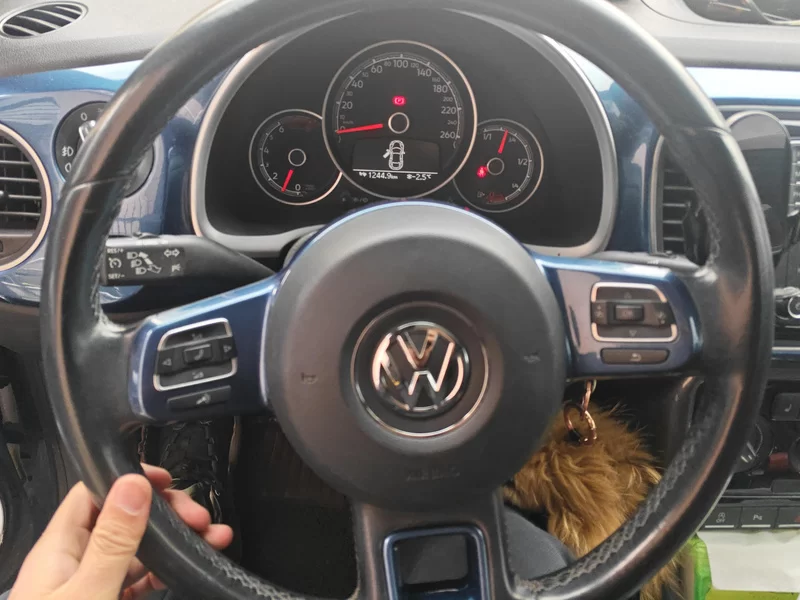 Volkswagen Beetle 2018 immagine di auto #15