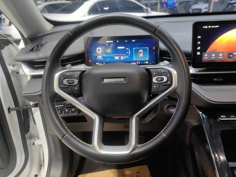 Haval H6 2022 #15 Haval H6 2022 car image #15