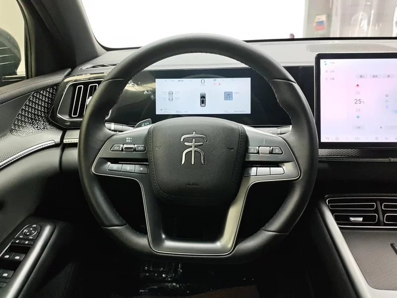 BYD Song Pro New Energy 2025 car image #15