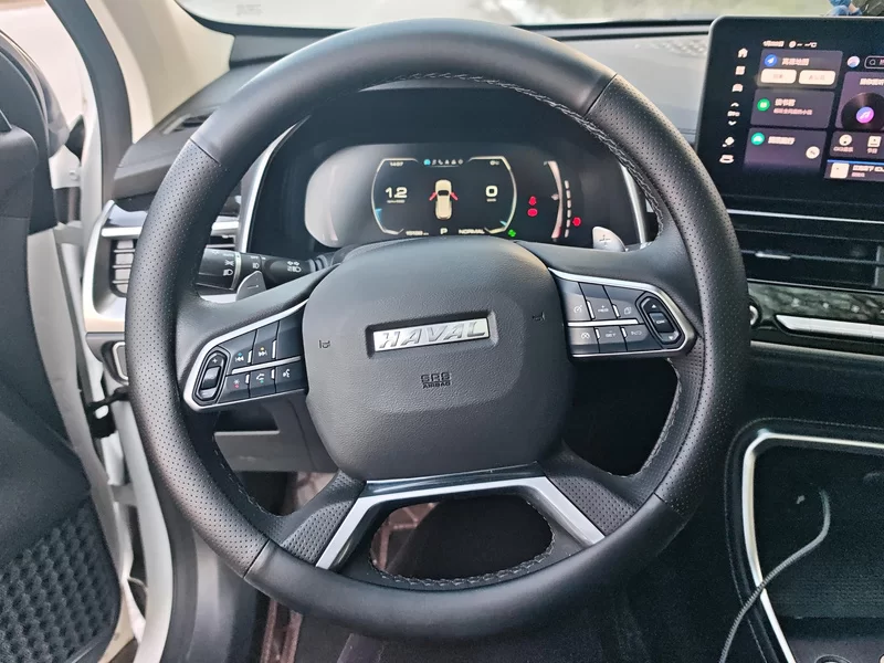 Haval H6 2024 car image #15