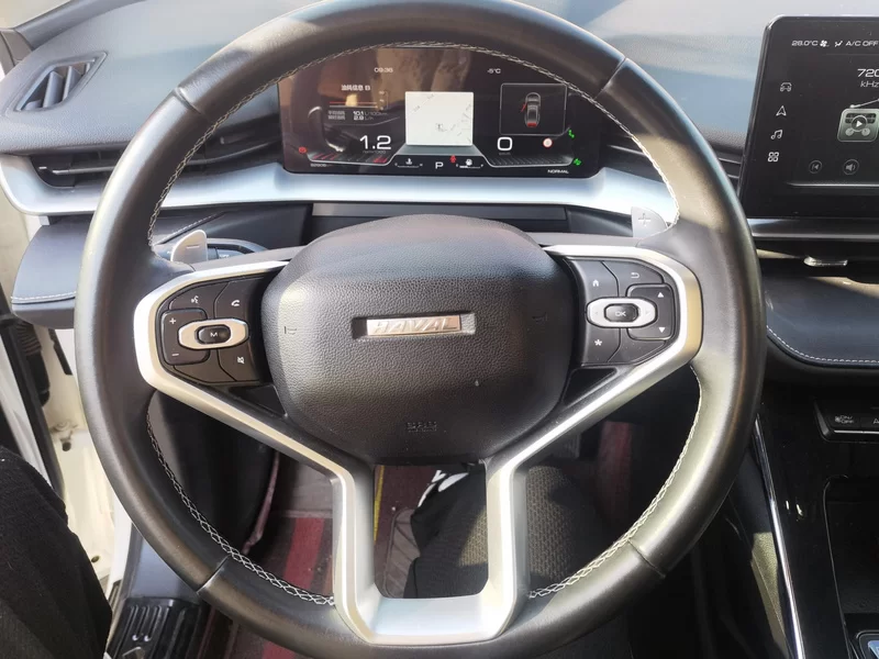 Haval H6 2021 #15 Haval H6 2021 car image #15