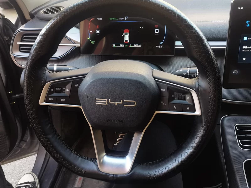 BYD Destroyer 05 2024 car image #15