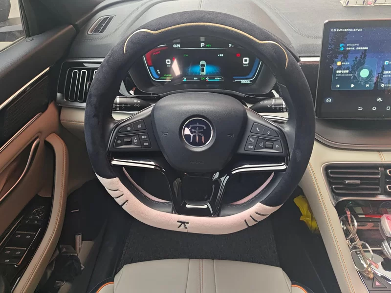 BYD Song Plus New Energy 2022 car image #15