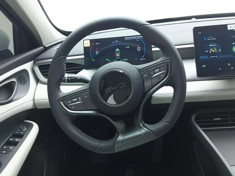 BYD 2025 immagine di auto #15