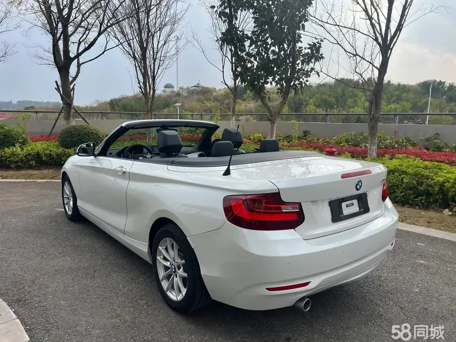 BMW 2 Series (Imported) 2016 #15 BMW 2 Series (Imported) 2016 изображение автомобиля #15