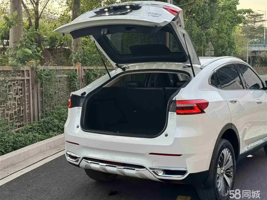 Haval F7x 2019 car image #15