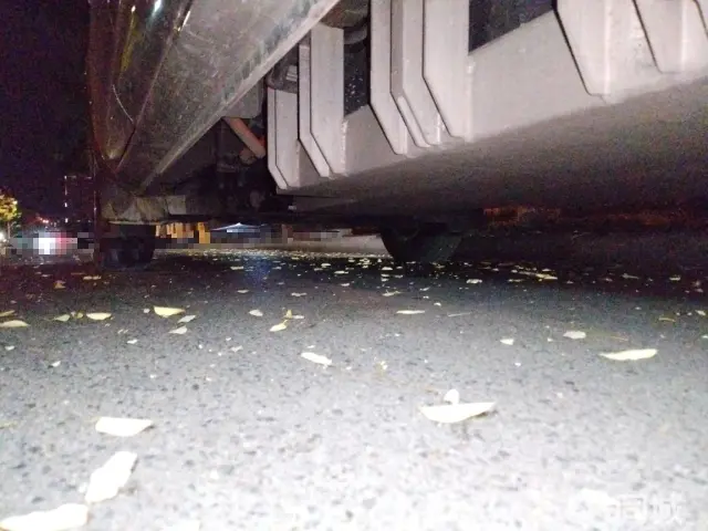 Forthing Lingzhi EV 2023 car image #15