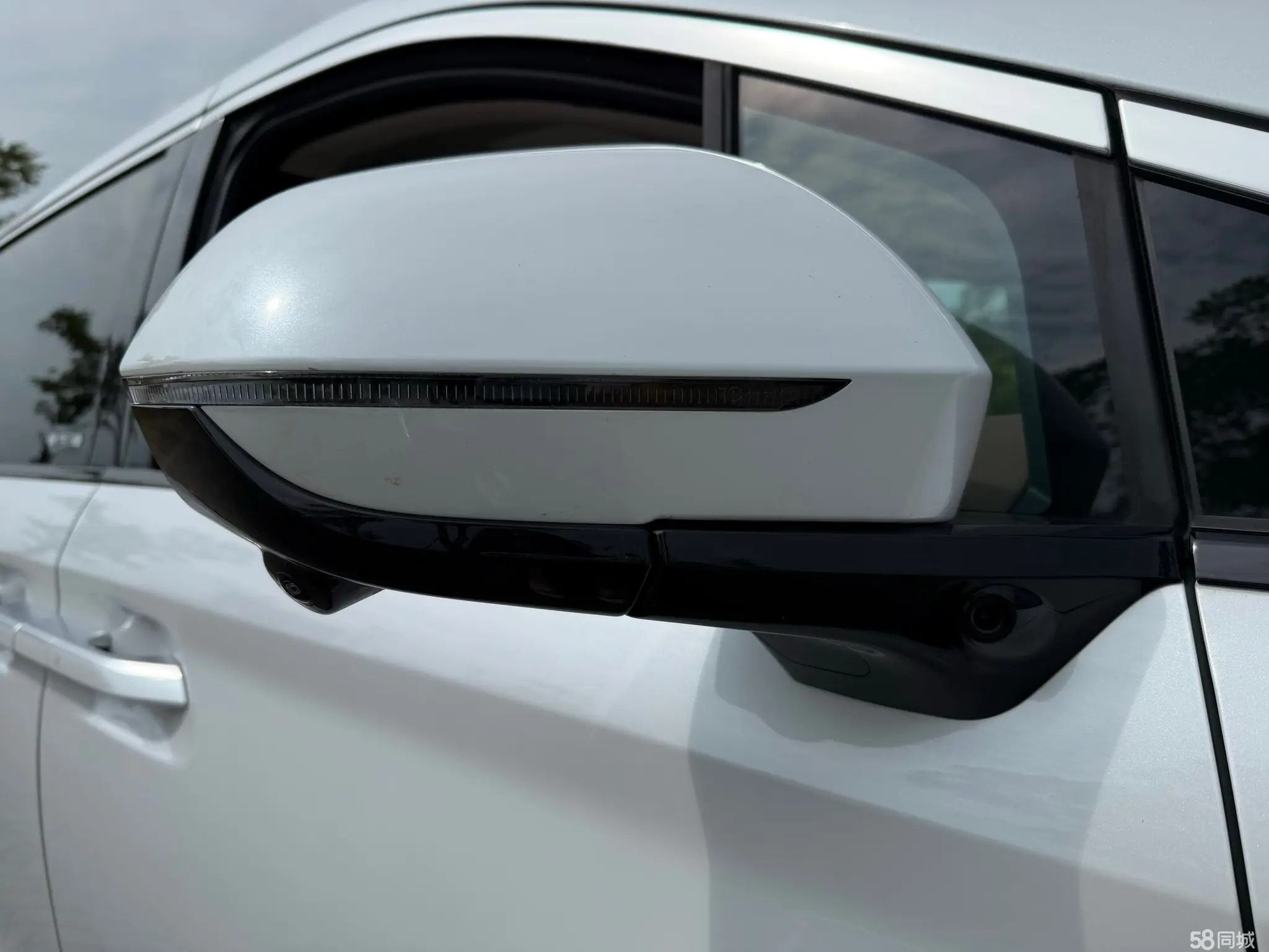 BYD Xia 2024 car image #15